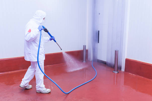 Paint Preparation in Cole Camp, MO