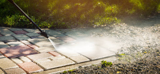 Best Patio and Deck Pressure Washing  in Cole Camp, MO
