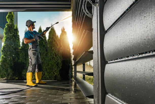 Best Roof Washing  in Cole Camp, MO